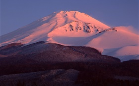 Monte Fuji, Japón, nieve, oscuridad, bosque