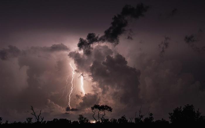Noche, nubes, tormentas, rayos, árboles, silueta Fondos de pantalla, imagen