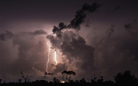 Noche, nubes, tormentas, rayos, árboles, silueta HD fondos de pantalla