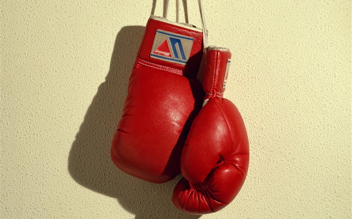 guantes de boxeo rojos, deportes Fondos de pantalla, imagen
