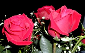 Flores rosas rojas, ramo