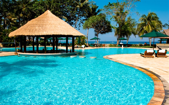 Resort, palmeras, piscina, casa, exótico Fondos de pantalla, imagen