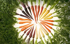 Verduras, zanahoria, diferentes colores, círculo HD fondos de pantalla