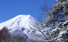 mundo blanco, invierno, nieve, el Monte Fuji, Japón