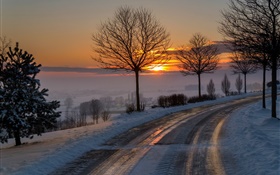 Invierno, mañana, amanecer, camino, árboles, nieve, amanecer
