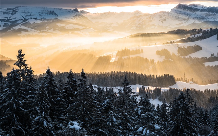 Invierno, montañas, por la mañana, los rayos del sol, árboles, nieve Fondos de pantalla, imagen