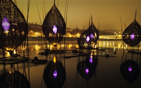 Festival de luces, río, Francia, Lyon HD fondos de pantalla