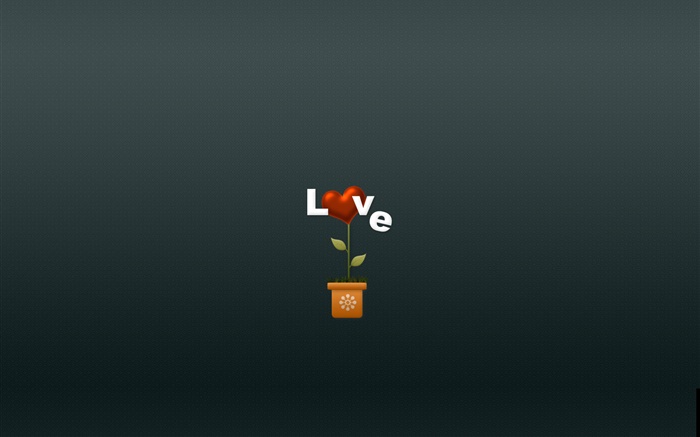 Amor, flor, imágenes creativas Fondos de pantalla, imagen