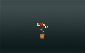 Amor, flor, imágenes creativas HD fondos de pantalla