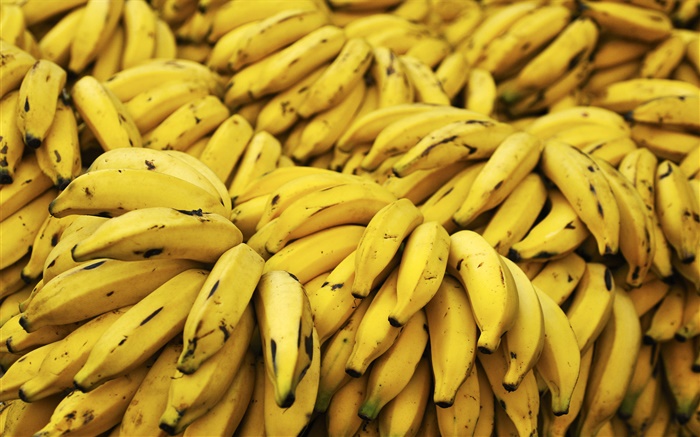 Muchos plátanos amarillos Fondos de pantalla, imagen