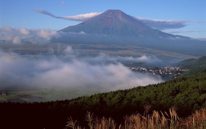 Monte Fuji, Japón, ciudad, bosque, hierba, niebla, nubes Fondos de pantalla, imagen