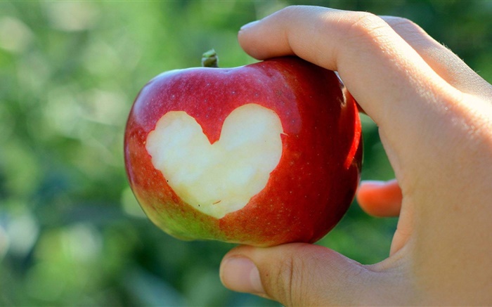 manzana roja, corazones del amor, la mano Fondos de pantalla, imagen