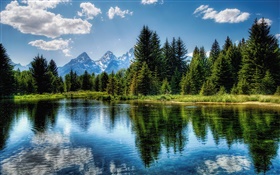 Árboles, lago, cielo azul, las nubes, la reflexión del agua HD fondos de pantalla