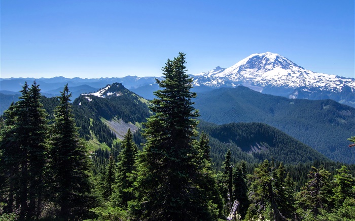 EE.UU., Alaska, bosque, montañas, cielo azul Fondos de pantalla, imagen