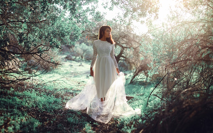 niña de vestido blanco en el bosque, el sol, el deslumbramiento Fondos de pantalla, imagen
