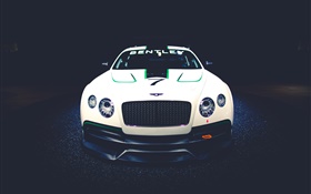 raza Vista delantera del coche Bentley Continental GT3 Concept
