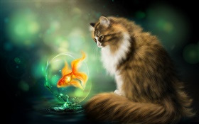 El gato y el pez de colores, el dibujo del arte HD fondos de pantalla