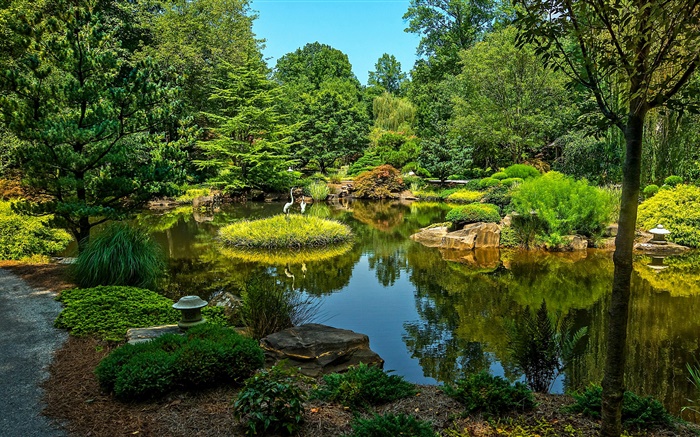 Gibbs jardines, EE.UU., estanque, árboles, hierba Fondos de pantalla, imagen