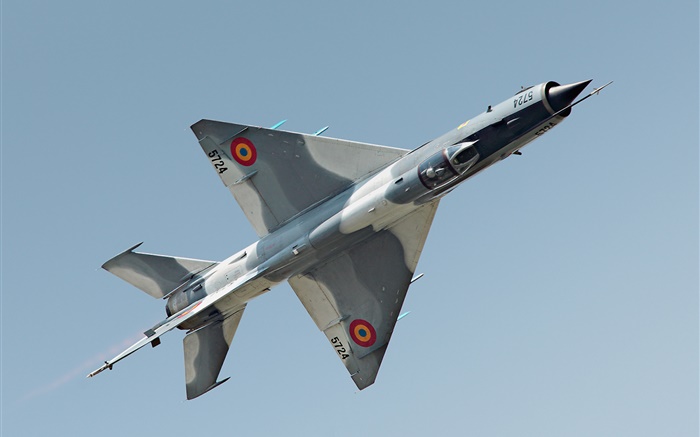 caza MiG-21 Fondos de pantalla, imagen