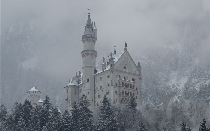 Neuschwanstein, castillo, montañas, árboles, nieve Fondos de pantalla, imagen