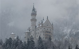 Neuschwanstein, castillo, montañas, árboles, nieve