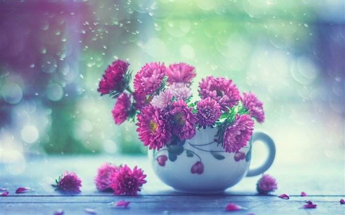 flores de color rosa, la taza, la lluvia Fondos de pantalla, imagen