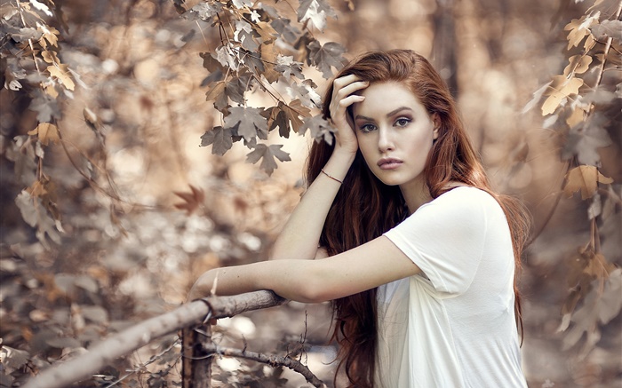Chica de cabello castaño en otoño, árboles, valla Fondos de pantalla, imagen