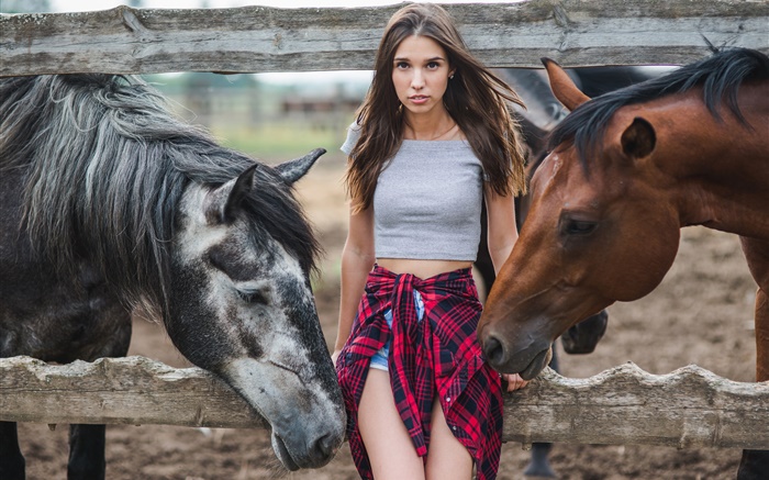 Chica y dos caballos Fondos de pantalla, imagen