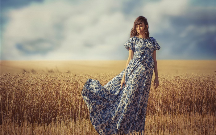 Chica en el viento, verano, campo de trigo Fondos de pantalla, imagen