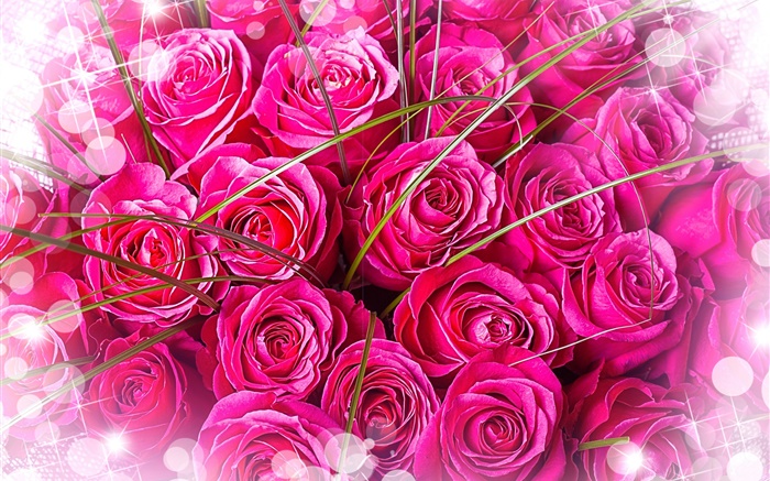 Rosas rosas, ramo, brillo Fondos de pantalla, imagen