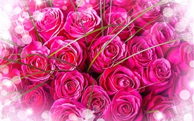Rosas rosas, ramo, brillo HD fondos de pantalla