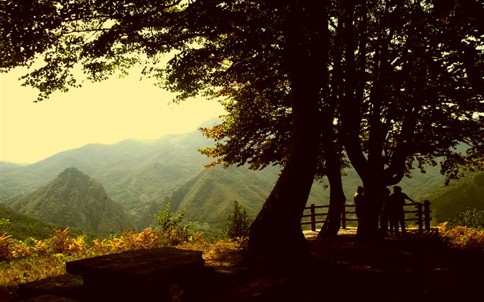 Árboles, montaña, anochecer Fondos de pantalla, imagen