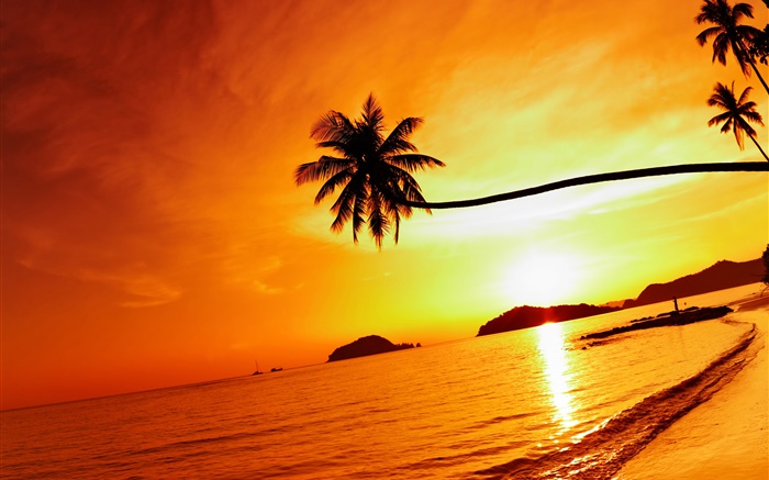 Tropical playa puesta de sol, palmera, Tailandia Fondos de pantalla, imagen