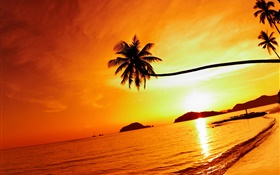 Tropical playa puesta de sol, palmera, Tailandia HD fondos de pantalla