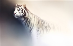 Pintura de la acuarela del tigre blanco HD fondos de pantalla