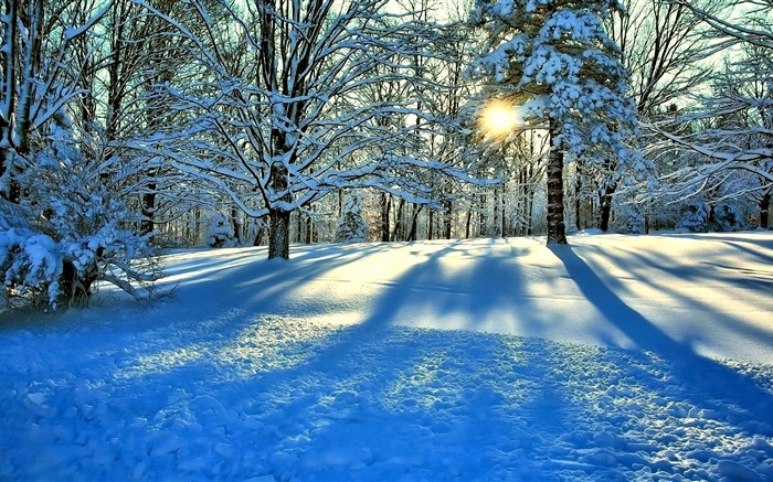 Invierno, nieve, árboles, rayos del sol Fondos de pantalla, imagen