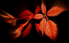 Otoño, hojas rojas, fondo negro