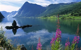 Lago, montañas, flores, nubes HD fondos de pantalla