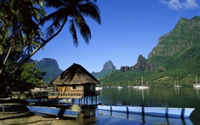 Resort, casa, palmeras, mar, montañas HD fondos de pantalla