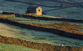 Casa de piedra, cerca, hierba, ovejas
