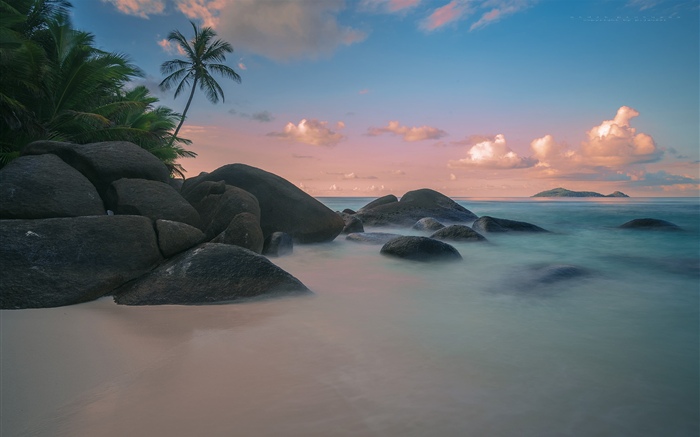 Playa, costa, palmeras, mar, atardecer Fondos de pantalla, imagen