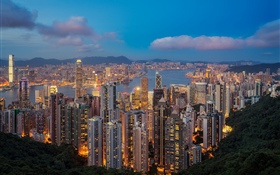 Hong Kong, noche, rascacielos, luces HD fondos de pantalla