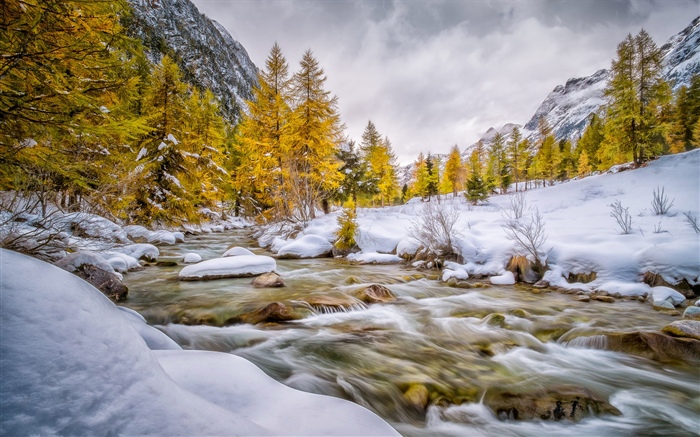 Invierno, nieve, árboles, arroyo Fondos de pantalla, imagen