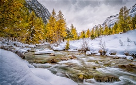 Invierno, nieve, árboles, arroyo HD fondos de pantalla