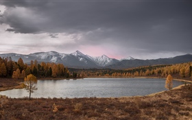 Altay, lago, arboles, montañas, otoño.