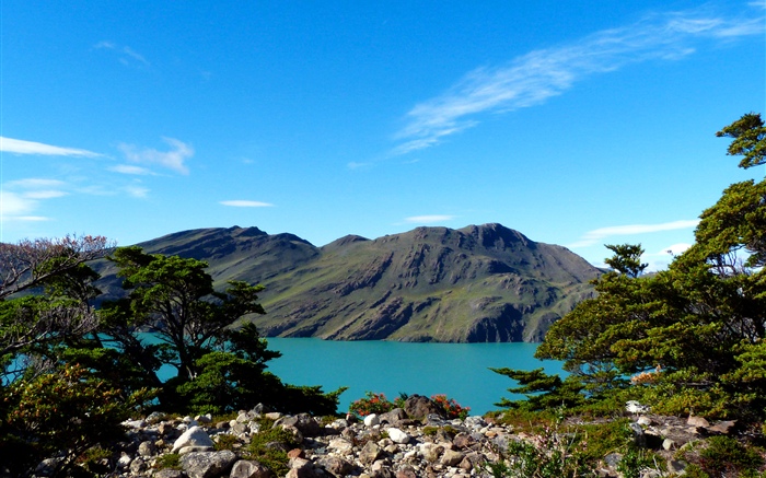 Argentina, Patagonia, lago, montañas, arboles. Fondos de pantalla, imagen