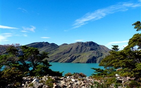 Argentina, Patagonia, lago, montañas, arboles. HD fondos de pantalla
