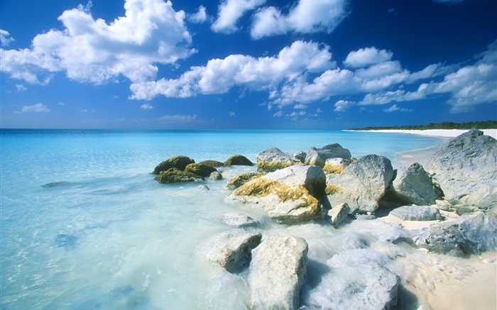 Bahamas, playa, mar, piedras Fondos de pantalla, imagen