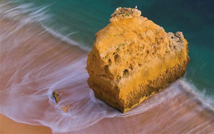 Playa, mar, roca, aves. Fondos de pantalla, imagen