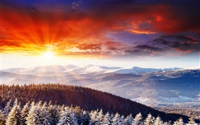 Hermosa puesta de sol, nubes, montañas, árboles HD fondos de pantalla